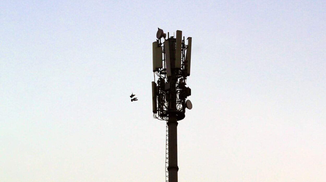 a street light with birds sitting on top of it